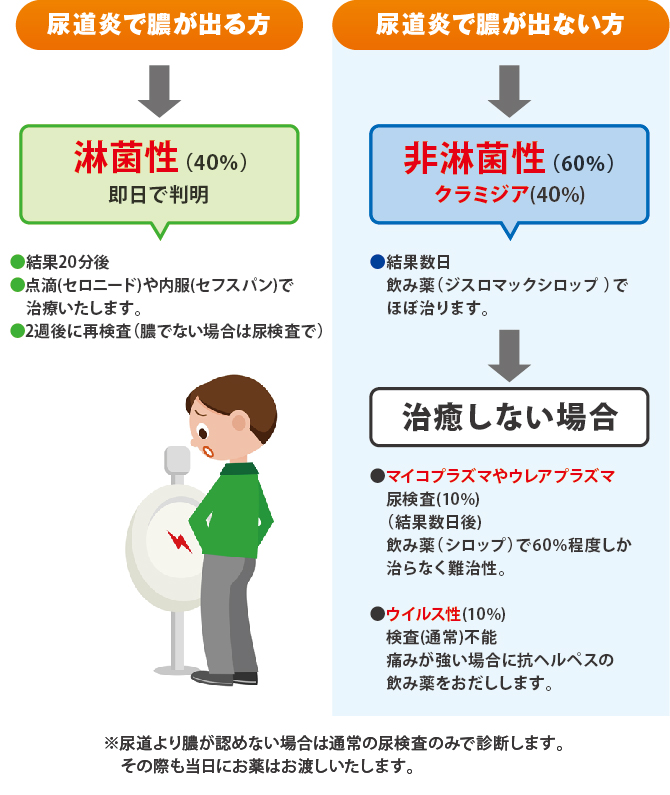 淋病 淋病